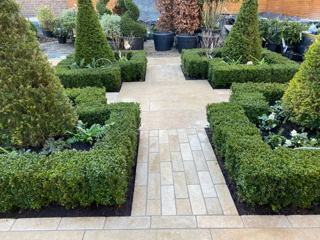 Autumn recovery jobs for your garden