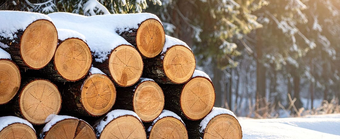 Timber That Can Take the Heat: Choosing Wood for Extreme Temperatures