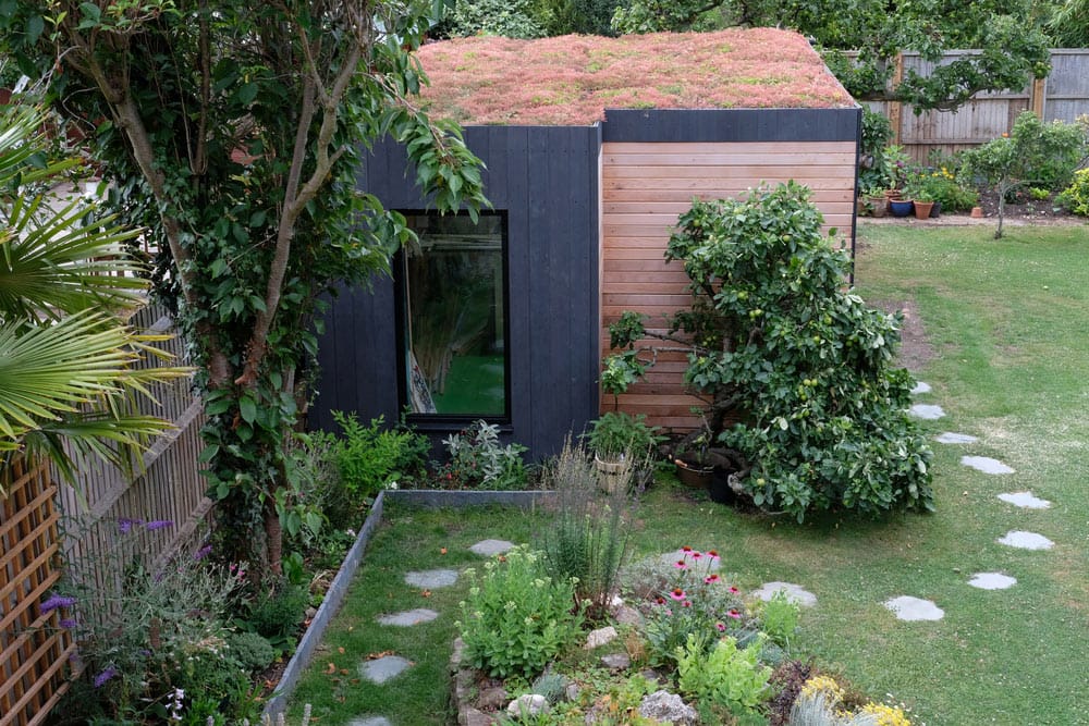 7 Easy Ways to Attract Wildlife to Your Garden and Support Your Local Ecosystem