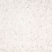 White arabesque