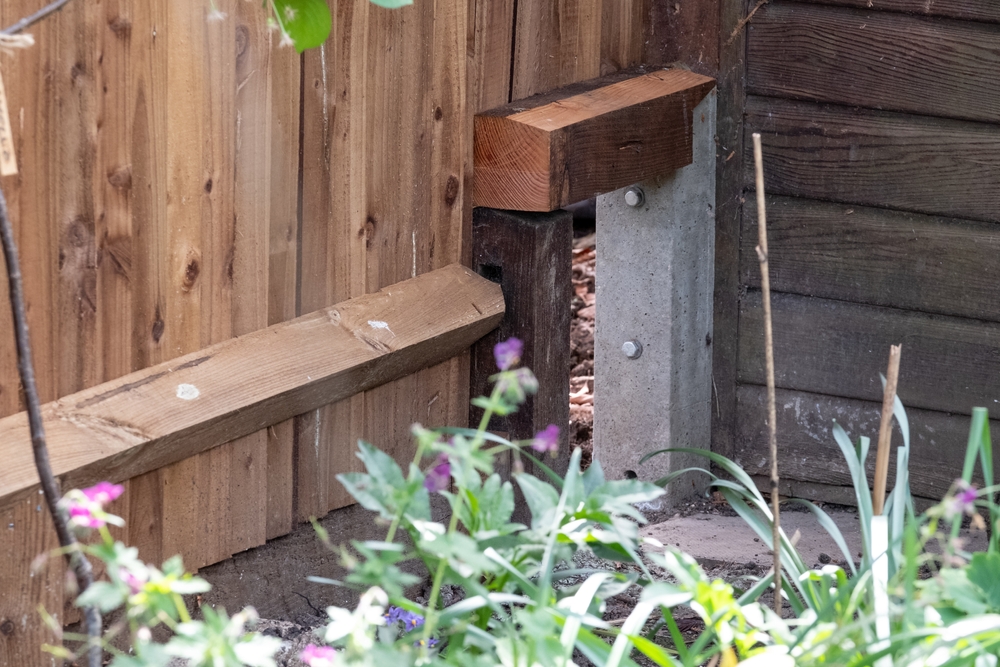 small opening in fence to allow hedgehogs entrance into garden to help with wildlife