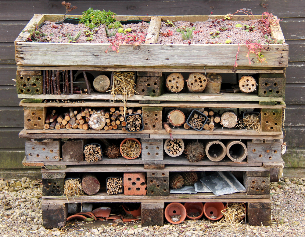 multiple slats of wood with old plant pots, bricks, dead plants and peices of wood for insects to house in