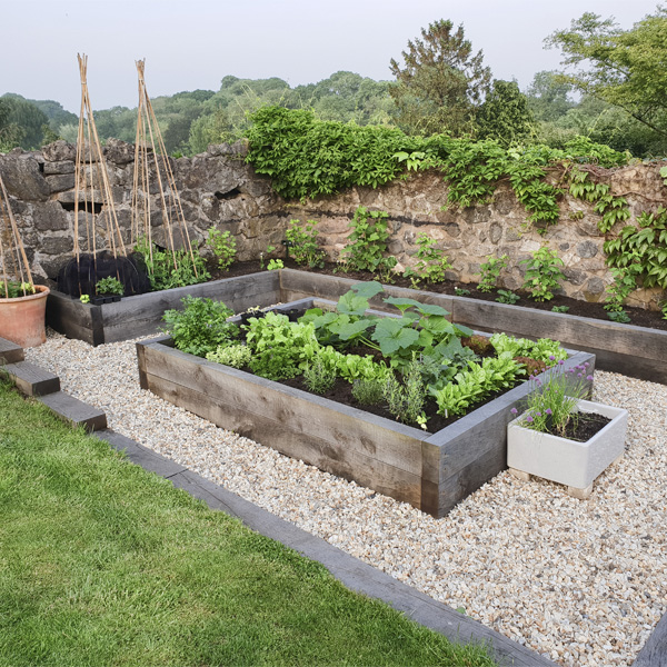 crop plots filld with plants surrounded by aggregates