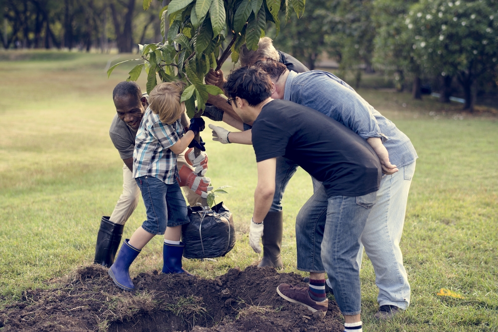 group of males planting tree sapling into the ground