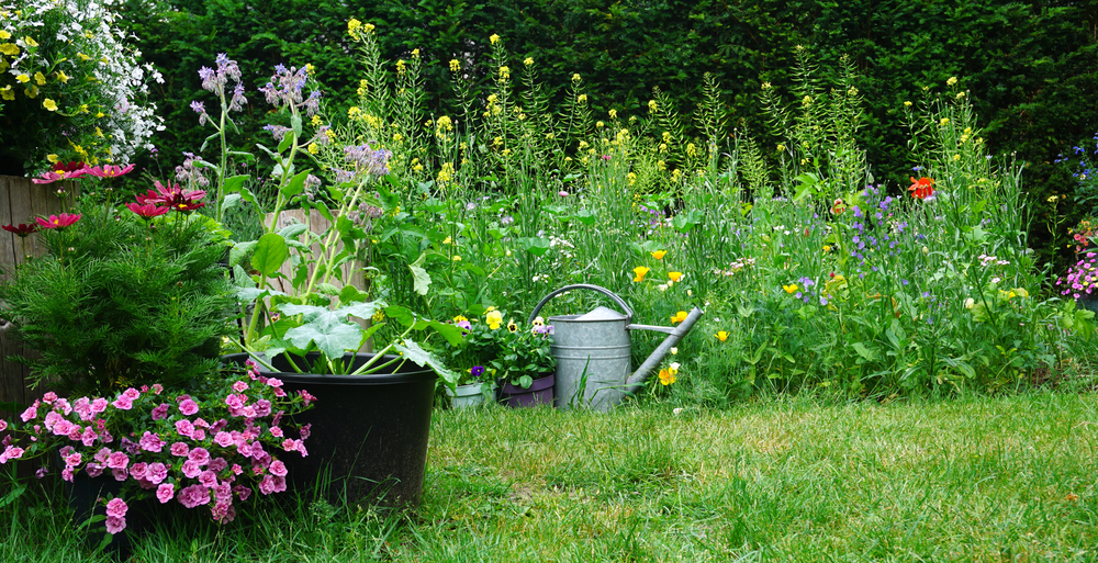 mass amount of multi coloured flowers