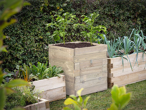 crop boxes containing different vegetables